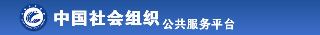 摸逼的网站全国社会组织信息查询